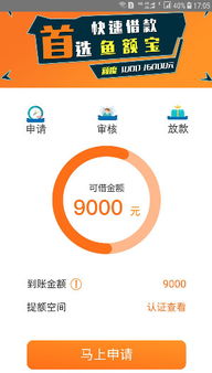 找到它就赚到了！苹果id贷款申请入口全攻略，再也不怕资金周转难