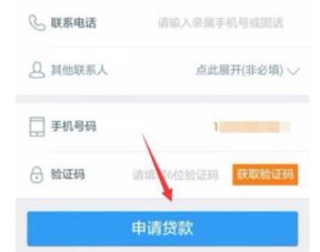 成功申请贷款界面