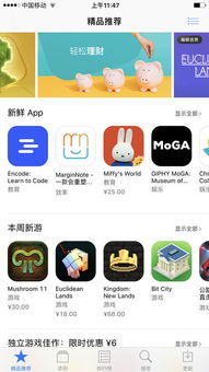 ID贷登录他人账号后如何安全退出？老用户教你避免资金风险的关键步骤