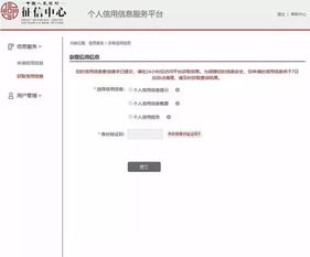 信用报告页面