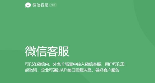 用户咨询客服场景