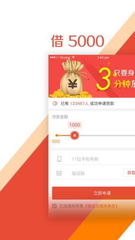 大学生使用手机贷款