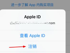 弄了id贷怎么解除？老司机教你避开这4大雷区，轻松脱身！