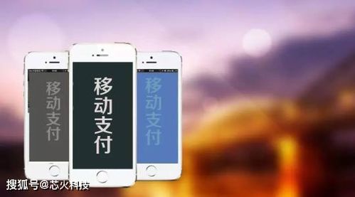 多种支付方式图标集合