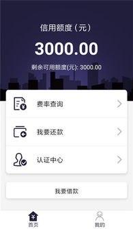 贷款申请界面截图