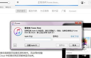 ID验证成功界面