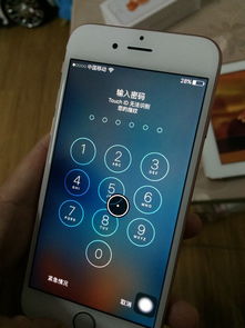苹果ID贷款实测报告：从申请到放款只需三步，打工人必看的借钱攻略