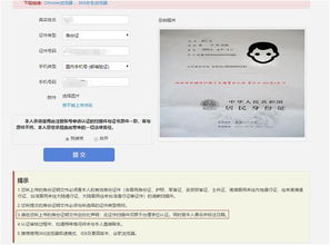 申请页面详细填写信息