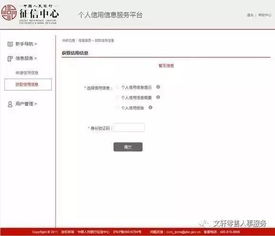 征信报告示例