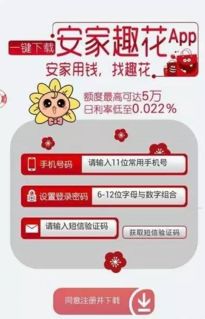 用户操作手机申请贷款流程