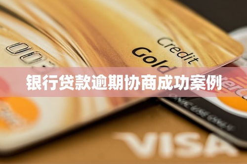 贷款成功案例